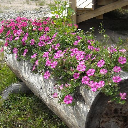 Aneen Loma Vacation And Cottages Posio Eksteriør bilde