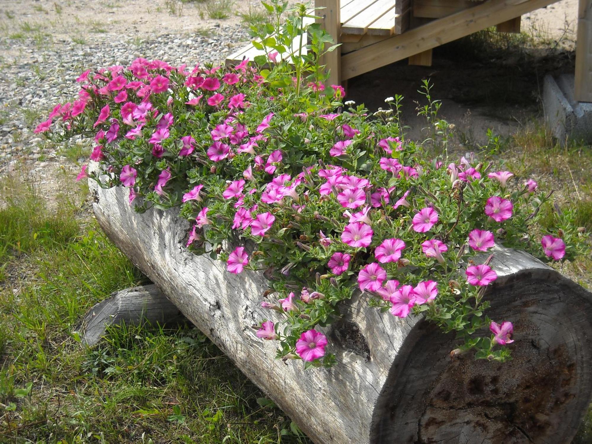 Aneen Loma Vacation And Cottages Posio Eksteriør bilde