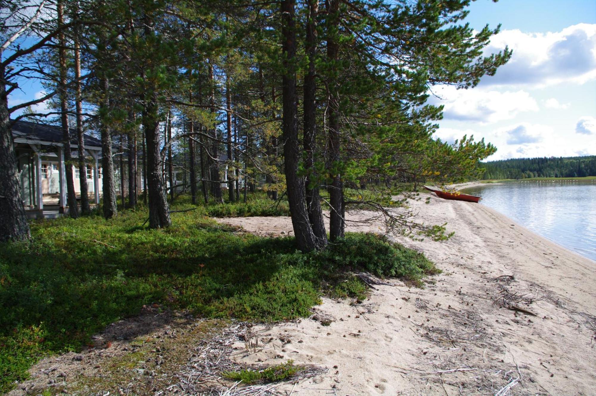 Aneen Loma Vacation And Cottages Posio Rom bilde
